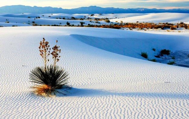 Dunas de Yeso fotos